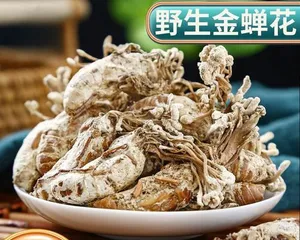 Toxicity and Suitable Growing Environment of Red Cicada Flower (Everything you need to know about the toxicity and care techniques of Red Cicada Flower) 2