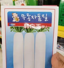 Complete Guide to Growing White Radishes (Do You Master the Planting Time, Methods, and Care Techniques?) Part 3