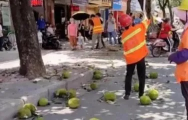 Can durians be grown in Guangxi? (Durian tree planting techniques, tree care methods, quality requirements, and market value analysis) 2