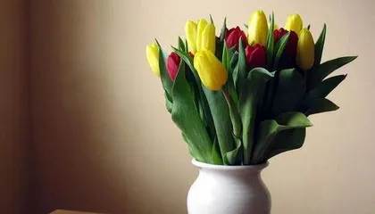 郁金香如何种植,从选种到养护的详细指南1