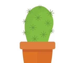 Flat Flower Pot Planting Guide (What Flowers to Plant, How to Care for Them?) 2