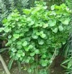 How does Money Dou view humidity, accurately grasps indoor humidity changes