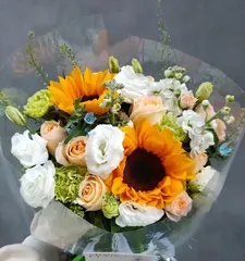 Sunflower Care Guide (Spring, Summer, Autumn, Winter, How to Scientifically Water)0