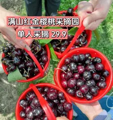 Cherry Harvesting Time and Picking Techniques (Best Harvesting Time, Fruit Selection Tips, Storage Methods, Let You Enjoy the Freshest Outdoor Cherries)