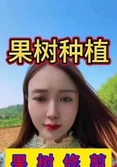 Fruit Tree Pruning Techniques (Simple and Easy-to-Learn Methods for Pruning Fruit Trees)