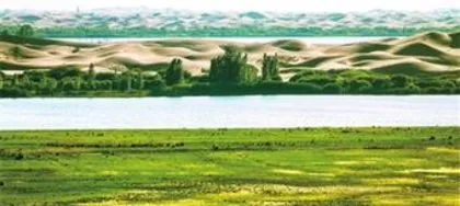 How to change when the soil is fertilized, plant care and soil improvement strategies under soil fertility imbalance1