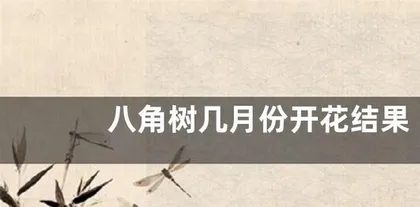 Solutions to the Star Anise Tree Flowering but Not Fruiting (From Care to Treatment, Ensuring Smooth Fruiting) 1