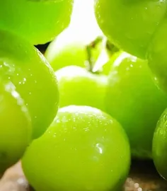 Where is the origin of Qingti? - Exploring the hometown of Qingti2