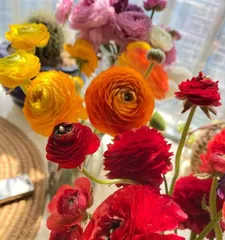 Tree Peony Care and Sun Protection (Learn how to properly shade tree peonies for healthy growth) 1