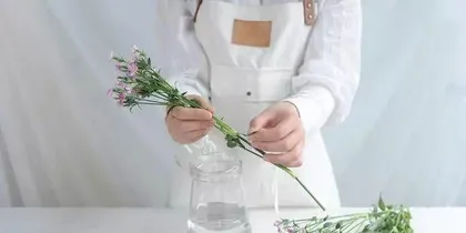 How to Care for Xiang Mei for Long-term Healthy Growth (Detailed Guide to Xiang Mei Care, Key to Scientific Propagation) 3