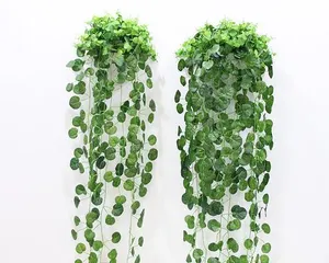 Exploring Trailing Plants (Understanding the Characteristics and Care Tips of Trailing Plants)1