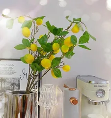 Home Care (Beautiful Lemon Tree, also a good choice for the bedroom) 1