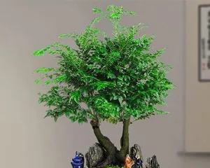 Suitable Bonsai Plant Themes (Exploring the Most Suitable Plants for Bonsai) 3