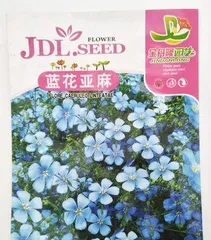 Blue flax life cycle (understanding the growth characteristics and care techniques of blue flax) 2