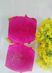 A Detailed Guide to Caring for Pitaya in All Seasons (What to Note About Watering in Spring?) 2