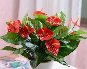 How to make safflower bloom? (Improve growing techniques to let safflower flourish with vitality) 2