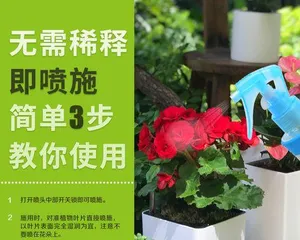 Succulent Care (Choosing the Right Fertilizer for Healthier Growth) 3