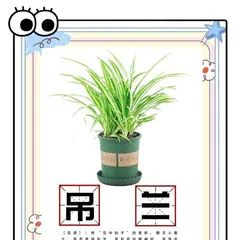 Pothos Care Guide and Maintenance Tips (Easily Create a Beautiful Space and Grow Pothos with You) 3