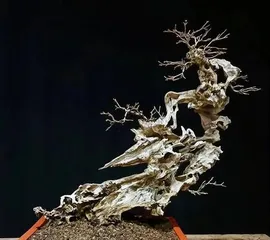 黄荆盆景的剪枝时间和技巧（适合几月份修剪？如何正确修剪？）2