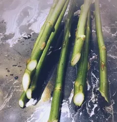 Imperfect alternatives for growing roses without a vase (The hassle-free choice for rose care - growing in water) 2