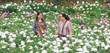 Comprehensive Care of Couple