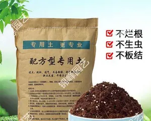 A Complete Guide to Aloe Vera Cultivation (Unveiling the secrets of suitable soil and maintenance methods to help you easily reap a bountiful harvest)1