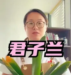 Lifespan and Care Methods of Clivia Miniata (A Perennial Clivia Miniata, How to Extend Its Lifespan?) 1