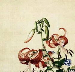 Cold Tolerance and Suitable Planting Temperature of Guanyin Lotus (Winter Care Tips to Help You Create a Beautiful Garden) 3