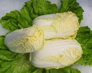 What are the planting and cultivation techniques for yellow heart cabbage? What is the best time to plant? 2