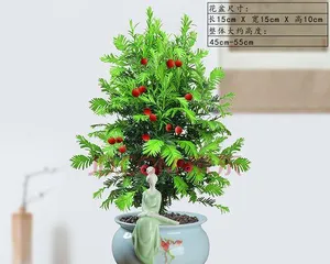 红豆杉盆栽的选择与养护（如何选择合适的盆栽及注意事项）2