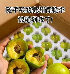 Ripening Period and Care Techniques for Green Plums (Understanding the ripening period of green plums to make the fruit more delicious)1