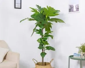 Care Methods for Azalea Potted Plants (Growing Azalea Potted Plants Indoors to Bring More Green Vitality to Your Home)0