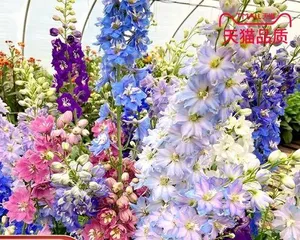 Late Autumn Harvest Garden (How to Choose Suitable Plants to Grow) 1