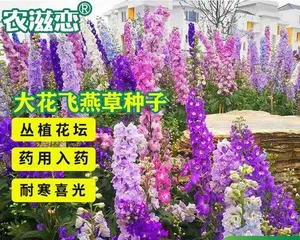 Late Autumn Harvest Garden (How to Choose Suitable Plants to Grow) 3