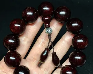 Winter Care Guide for Pterocarpus santalinus (How to scientifically get Pterocarpus santalinus through the cold winter) 2