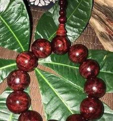 Winter Care Guide for Pterocarpus santalinus (How to scientifically get Pterocarpus santalinus through the cold winter) 3