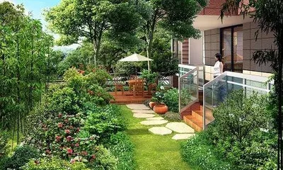 What trees are suitable for southern courtyards? (Understanding the southern climate and choosing suitable tree species) 2