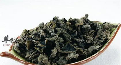 木耳的种类和生长习性（探秘木耳的植物分类和生长环境）1