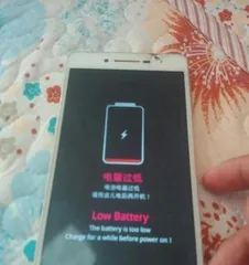 Maintenance Methods for Pyracantha Stump (Focus on Water and Fertilizer Conservation for Better Growth) 1