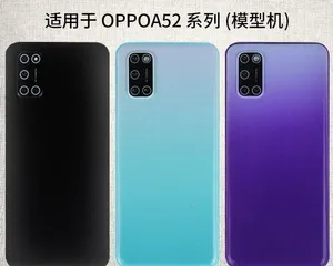 Maintenance Methods for Pyracantha Stump (Focus on Water and Fertilizer Conservation for Better Growth) 3