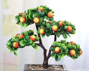 Care methods and precautions for auspicious fruit bonsai (create good luck in your life, come and learn how to care for auspicious fruit bonsai!) 3