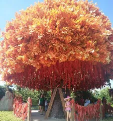 Exploring Beautiful Forests (15 Trees, Incredibly Beautiful) 1