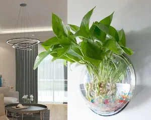 玻璃鱼缸适合养什么花？（探秘玻璃鱼缸花卉养护）3