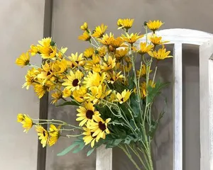 Easy Care for Pineapple Daisy, Letting Flowers Bloom Brilliantly (From Watering to Fertilization, A Comprehensive Guide to Pineapple Daisy Care) 1