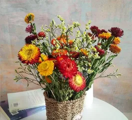 Easy Care for Pineapple Daisy, Letting Flowers Bloom Brilliantly (From Watering to Fertilization, A Comprehensive Guide to Pineapple Daisy Care) 3