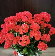 How to care for a cold winter (small tips to keep warm and comfortable) 1