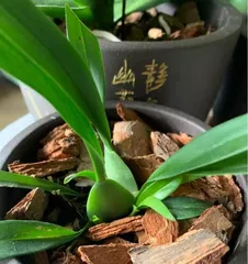 How to care for a cold winter (small tips to keep warm and comfortable) 2