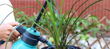 How to care for a cold winter (small tips to keep warm and comfortable) 3