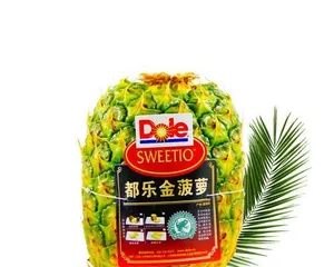 Tips for Overwintering Pineapples (Will Pineapples Freeze in Winter? How to Prevent Pineapples from Freezing?) 3