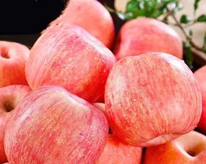 Explore the origin of Fuji apples (unveiling the growing regions and characteristics of Fuji apples)